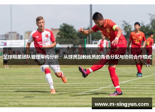 足球明星团队管理架构分析:从球员到教练员的角色分配与协同合作模式 足球明星团队管理架构分析:从球员到教练员的角色分配与协同合作模式