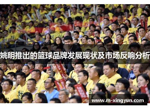 姚明推出的篮球品牌发展现状及市场反响分析 姚明推出的篮球品牌发展现状及市场反响分析