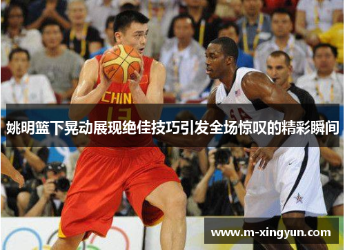 姚明篮下晃动展现绝佳技巧引发全场惊叹的精彩瞬间